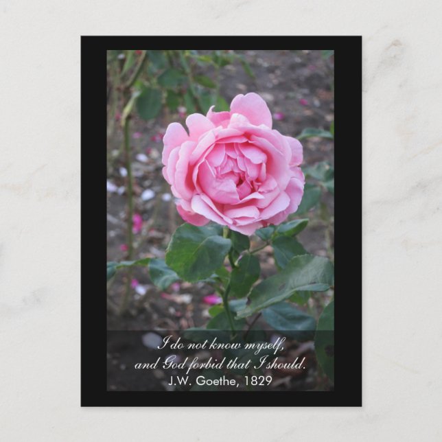 God forbid that I should know myself -Goethe quote Postcard (Front)