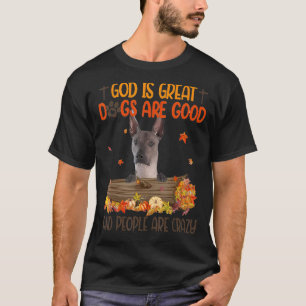 God Is Great Dog Are Good Xoloitzcuintli Fall Than T-Shirt