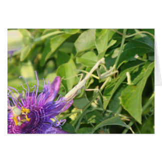 God is in the details