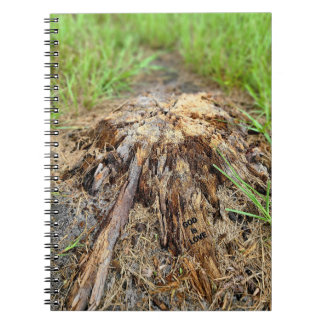 God is Love Notebook