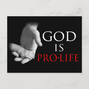 God Is Pro-Life Postcard