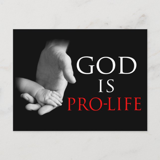 God Is Pro-Life Postcard (Front)