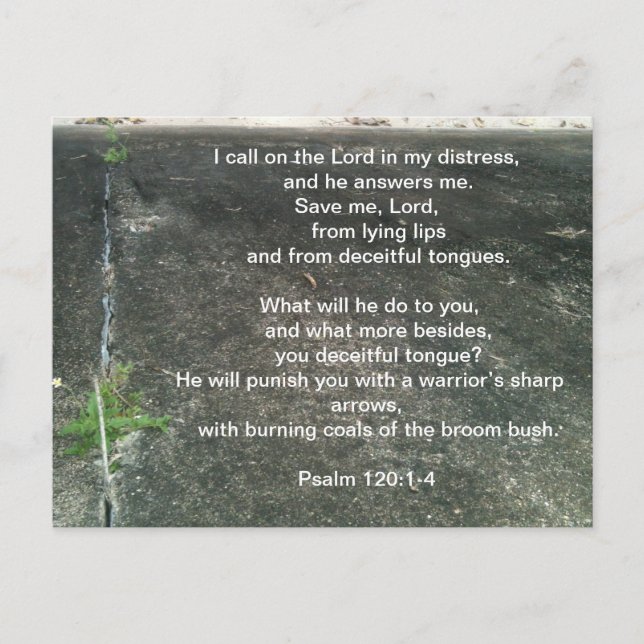 God protects you from liars postcard (Front)