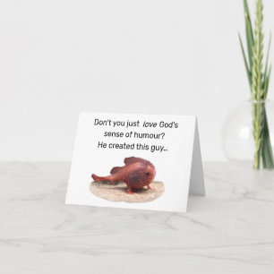 God’s Quirky Creation Thank You Card
