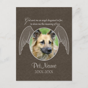 God Sent an Angel Pet Sympathy Custom Postcard
