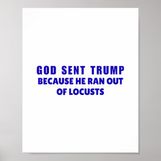 God Sent Trump Because He Ran Out Of Locusts Anti- Poster