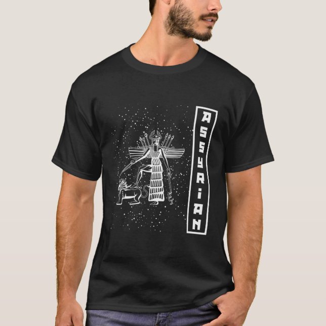 Goddesses Ancient Assyria Sumerian Flags Scientist T-Shirt (Front)