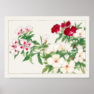 Godetia by Tanigami Konan Poster