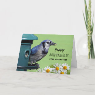 Godmother Birthday Blue Jay at Bird Feeder Daisies Card