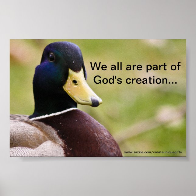 God's Creation Duck Poster (Front)