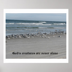 God's Creatures Are Never Alone 24" x 20" Poster