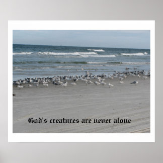 God's Creatures Are Never Alone 24" x 20" Poster