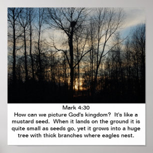 God's Kingdom Nest Poster