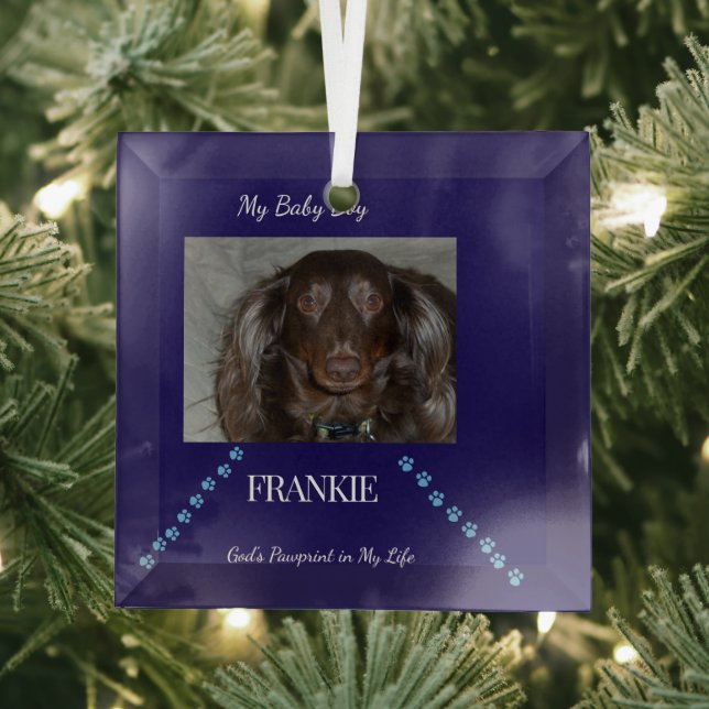 God's Pawprint Keepsake Glass Tree Decoration (Insitu)