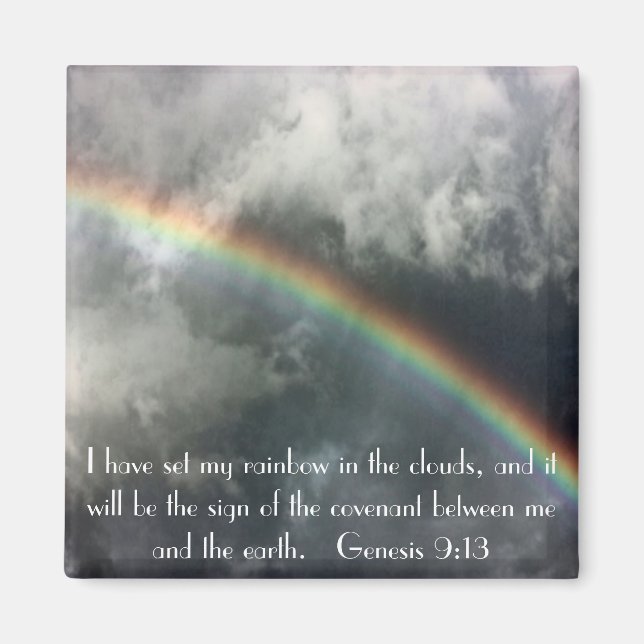 God's rainbow bible verse Genesis 9:13 Magnet (Front)