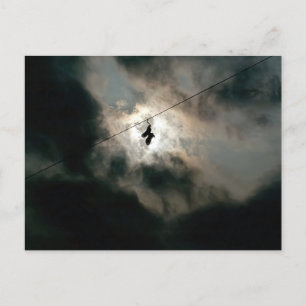 God's Sneakers Postcard