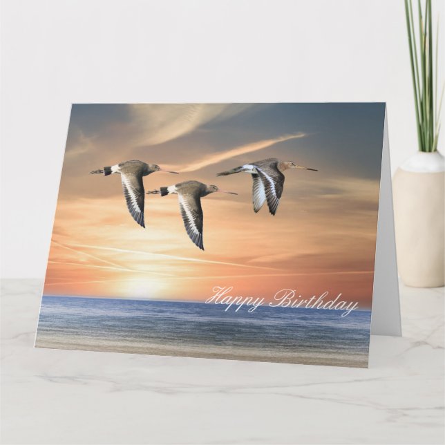 Godwins in Flight Card (Front)