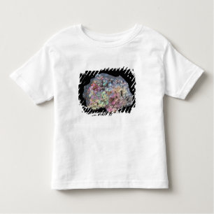 Goethite Showing Iridescence Toddler T-Shirt