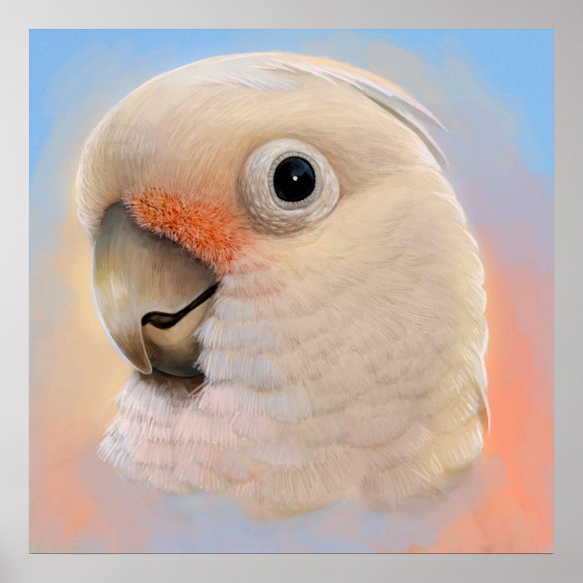 Goffin Tanimbar Corella Cockatoo Poster (Front)
