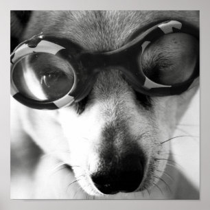 goggled up pup poster