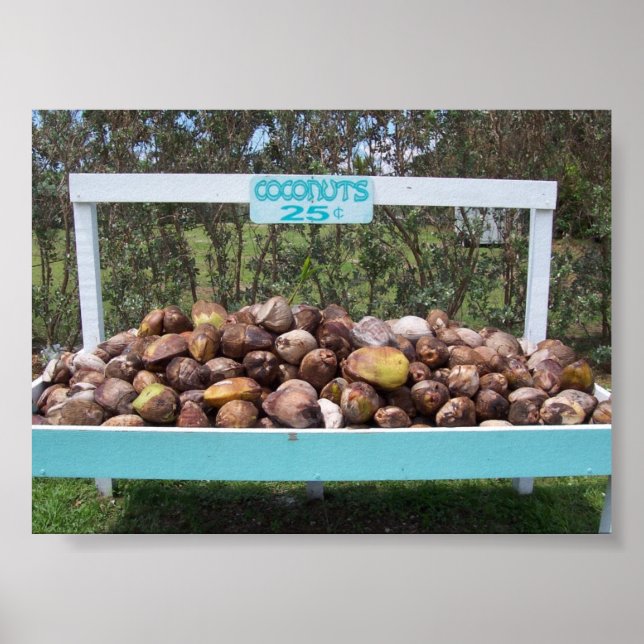 Going Coconuts Poster (Front)