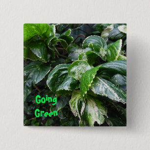 Going Green: Leafy Plant button