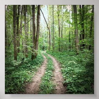 Going into the forest poster