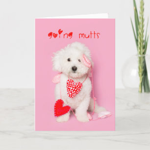 Going Mutts white puppy valentine Holiday Card