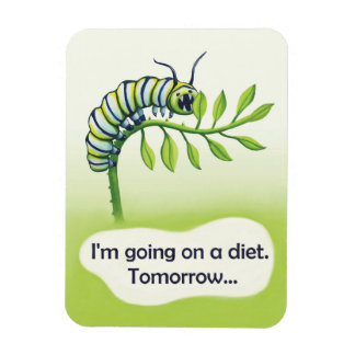 Going on a Diet Magnet