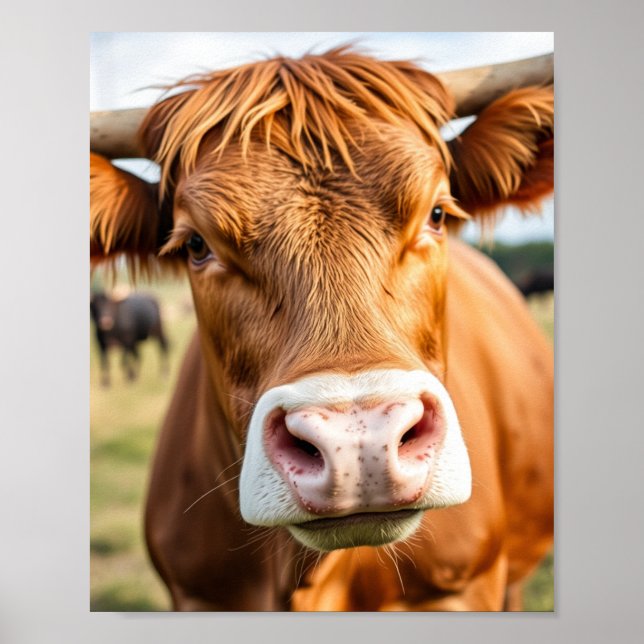 Going to the Cattle Ranch Cow Poster (Front)
