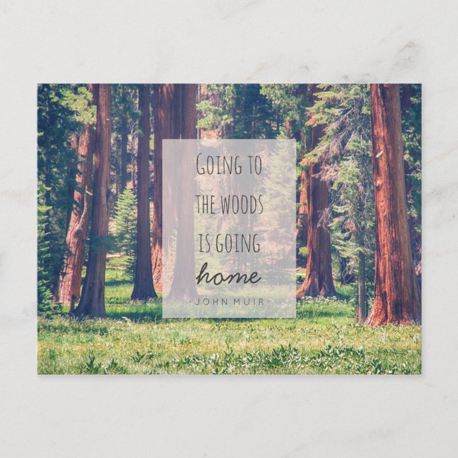 Going to the Woods | Postcard (Front)
