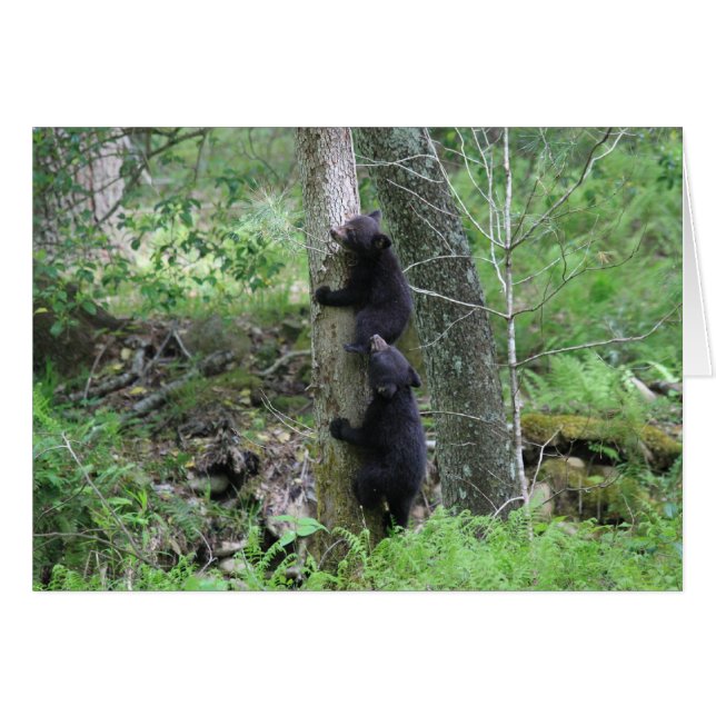 Going Up (Front Horizontal)