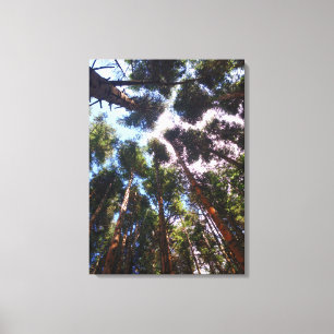 Going Up Canvas Print