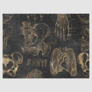 Gold Anatomy Drawings on Black Decoupage Tissue Paper