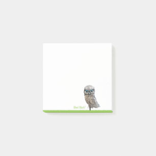 Gold and Silver Burrowing Owl Decor Post-it Notes