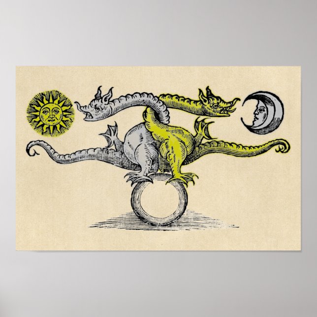 Gold and Silver Dragon Symbol Poster (Front)