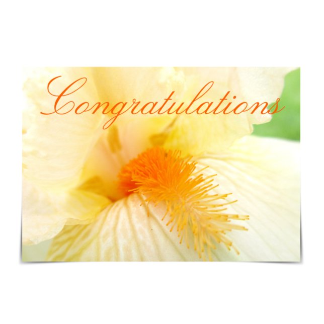 Gold Bearded Iris Wedding Congratulations Card (Creator Uploaded)