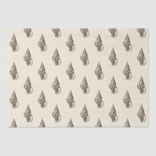 Gold Beige Marine Life Seashell Pattern Tissue Paper (Front)