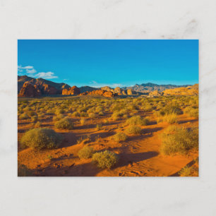 Gold Butte National Monument, Mud Road Vista Postcard