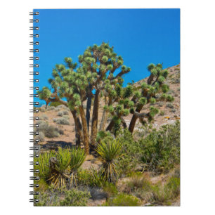 Gold Butte National Monument Notebook