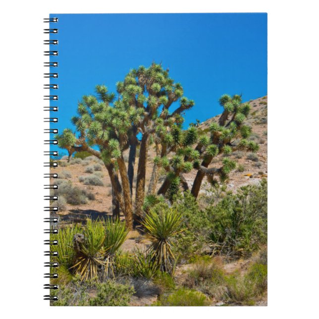 Gold Butte National Monument Notebook (Front)