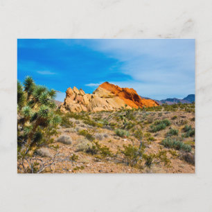 Gold Butte National Monument, Whitney Pocket Postcard