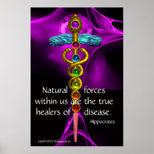 GOLD CADUCEUS, 7 CHAKRAS, PURPLE ROSE Medical,Yoga Poster