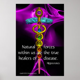 GOLD CADUCEUS, 7 CHAKRAS, PURPLE ROSE Medical,Yoga Poster