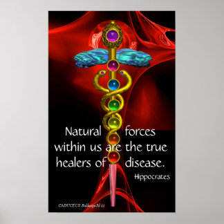 GOLD CADUCEUS, 7 CHAKRAS, RED ROSE Medical,Yoga Poster