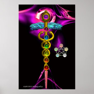 GOLD CADUCEUS AND 7 CHAKRAS IN PINK FRACTAL ROSE POSTER