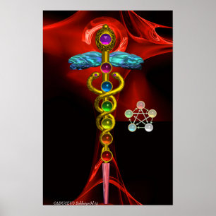 GOLD CADUCEUS AND 7 CHAKRAS IN RED FRACTAL ROSE POSTER