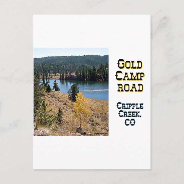 Gold Camp Road Postcard (Front)