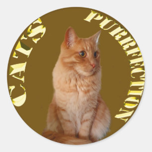 Gold Cat Coins With Ginger Cat, Round Sticker
