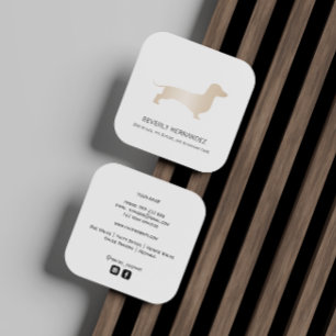 Gold Dachshund dog Walker Trainer Puppy sitting   Square Business Card